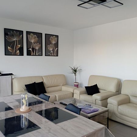 Apartamento Le Belle Vue Saint-Etienne  Exterior foto